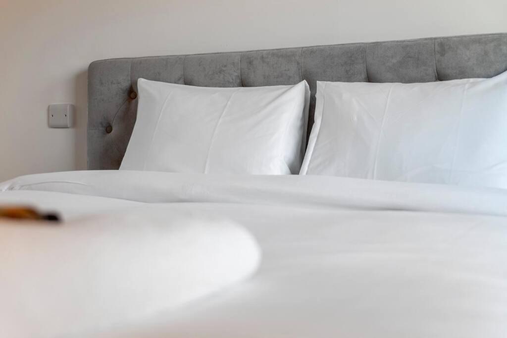 Stunning New 3 Bdr Duplex Wbalcony, East London Leilighet Eksteriør bilde